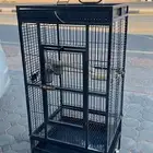 قفص طيور كبير