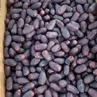 صفاوي كميه 5 طن