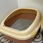 اغراض قط للبيع