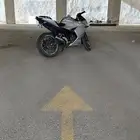 ريس 250