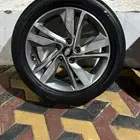 جنوط النترا 2015