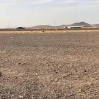 ابي مخيم جهة العيدانيه