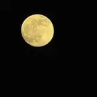 ابغالي سيارة اقساط