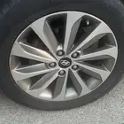 جنوط نص فل سوناتا من 2011 الى 2014