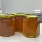 عسل شفلح مع الشرم
