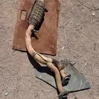 وصلت شكمان