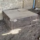 شبك دجاج وحمام