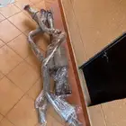 كت باك ماكس باور سييرا سلفرادو