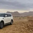 باترول بلاتنيوم