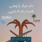 تصوير زوجات و مؤتمرات شاشات ليد ليزر صوتيات باندا وغوريلا