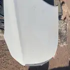 كبوت جنسس