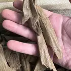 عود مروكي آصقون مفروز سوبر مرتفع