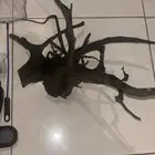 مستلزمات احواض سمك