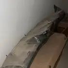قشره طبلون كامري امريكي