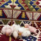 فروخ براكيت و فروخ روز