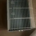 مستلزمات قطط للبي