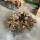 طاولة جذع شجر طبيعي