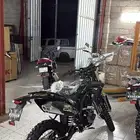 دباب صحراوي