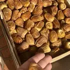 تمر سكري
