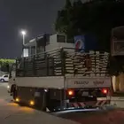 مشوار دينه شبك