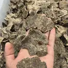 عود فيتنامي جار طبيعي جملة الجملة