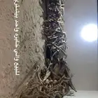 خشب للبيع كامري