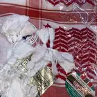 الاشمغه النادره والقديمه الشلش القديم والمهدب الاحمر