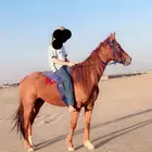 حصان