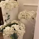 ستاند باسم سلطان   مراكن ورد