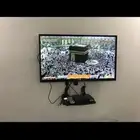 شاشة سانيو 39 بوصة نظيفة جدا  مع حامل جداري .