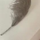 ريش نعامه للذكريات