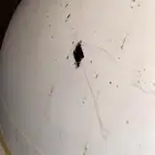 تانكي