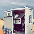 عربة نقل خيل جده
