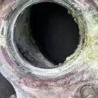 قزوز كامري برصاصه وتوني منظفه