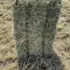 بلوبنك صافي شده طيب وزن