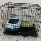 مستلزمات قطط