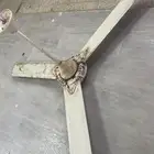 مروحه