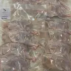 سمان فري طازج