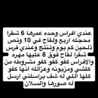 افراس كفو ولا يرسل الا الصامل