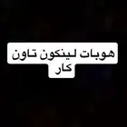 قطع لينكون تاون