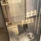 اغراض قطط