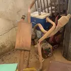 كت ماقنافلو مخرجين