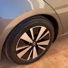 جنوط التيما