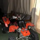 مطلوب بانشي