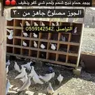 حمام فرنسي كفو شحم ولحم