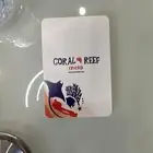 طباعة بلوت طباعة ورق اللعب طباعة ورق لعب