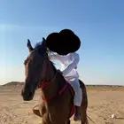 حصان