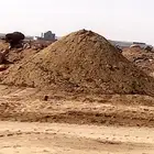 سماد عنم طيب صافي يصلح لا اهل المزارع للبيع