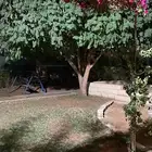 استراحه للإيجار في المشاعله مخطط النزهه