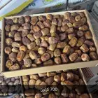 مفتل رقم 2
